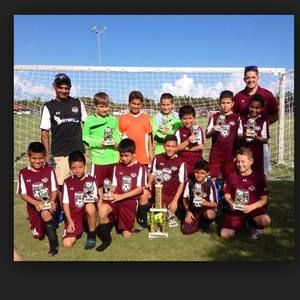 Meet your Posher, Anibal